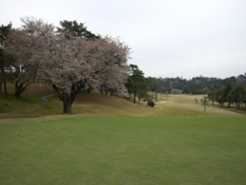 葵カントリークラブ